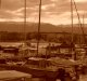 INDEX 2011