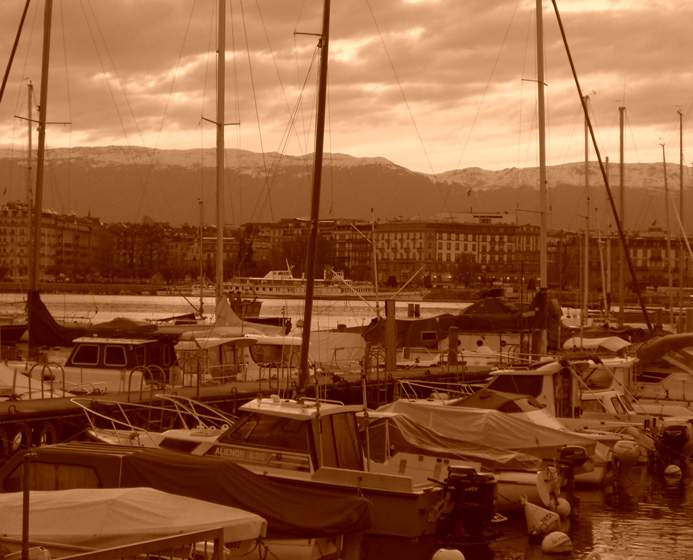 INDEX 2011