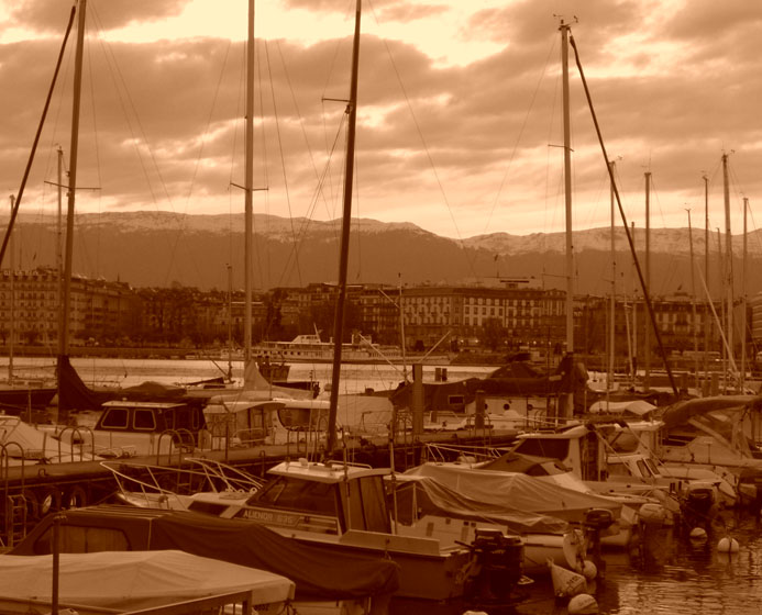 INDEX 2008